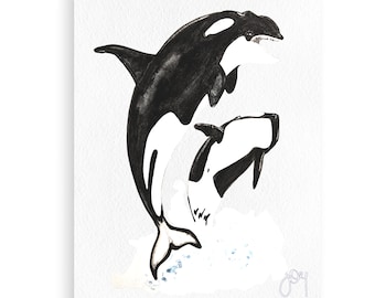 Orcinus orca · Orca whale· Orca whale· Orca