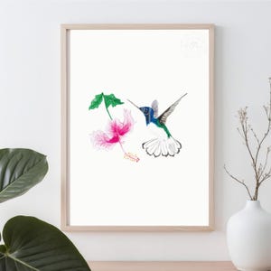 May include: A framed art print featuring a watercolor illustration of a hummingbird with blue, green, and white feathers hovering near a vibrant pink hibiscus flower with green leaves, all set against a clean, solid white background.