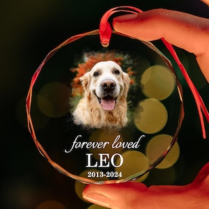 Pet Portrait Name Gift, Pet Memorial Ornament, Personalized Pet Ornament, Custom Dog Memorial Ornament,  Cat Memorial Photo Ornament