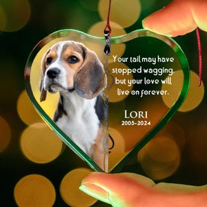 Pet Portrait Name Gift, Pet Memorial Ornament, Personalized Pet Ornament, Custom Dog Memorial Ornament,  Cat Memorial Photo Ornament
