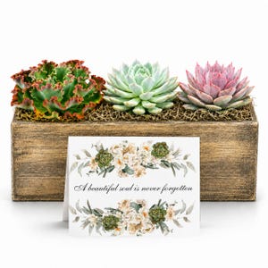 May include: A rectangular wooden planter box containing three distinct succulents: one with ruffled green and orange leaves, one pale green, and one pink. A white card in front displays the text A beautiful soul is never forgotten.
