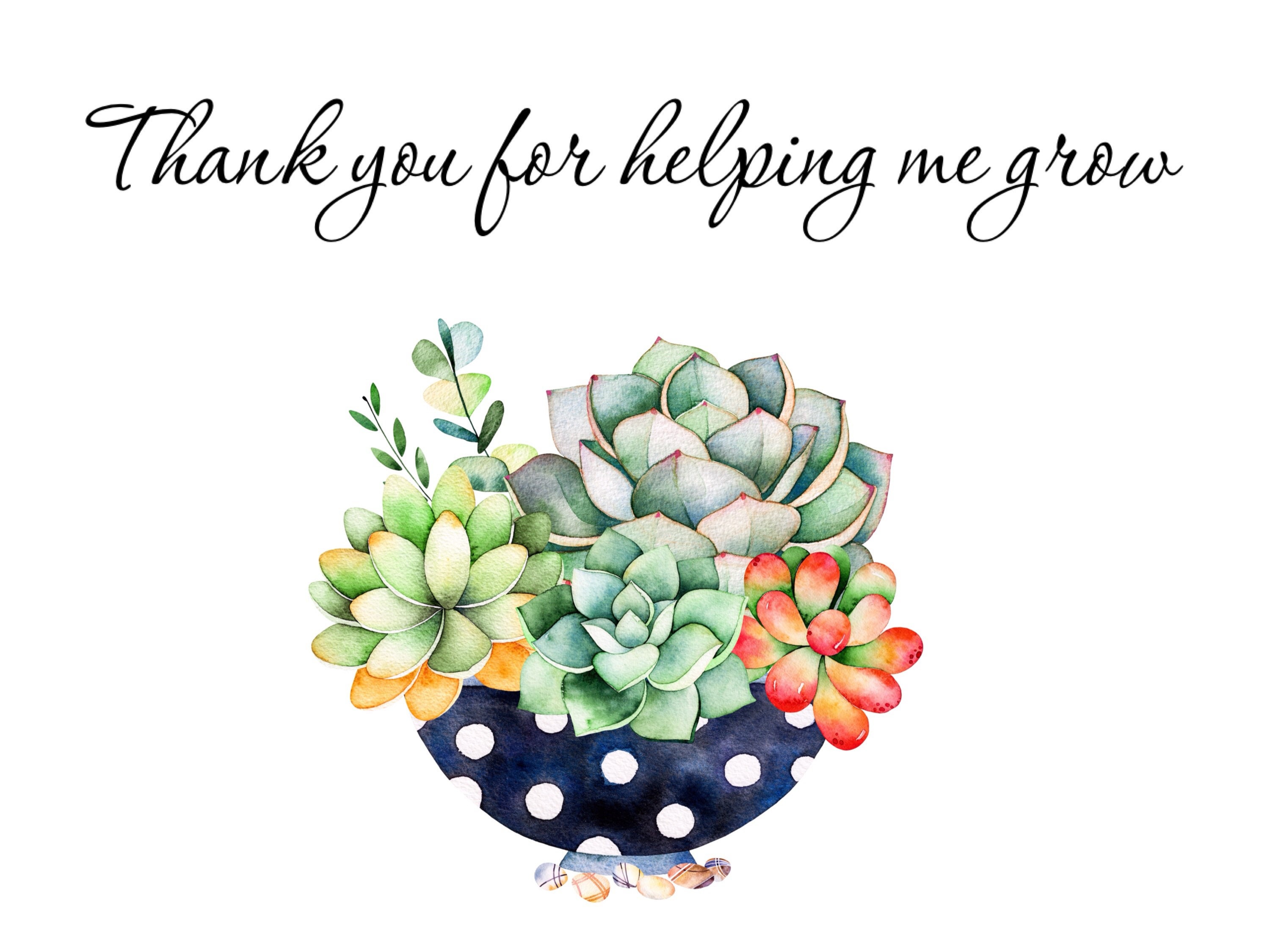 Thank You For Helping Me Grow Succulent Gift Box Greeting Etsy