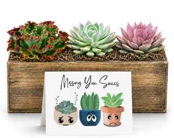 Long Distance Gift | Missing You Succs | Thinking of You