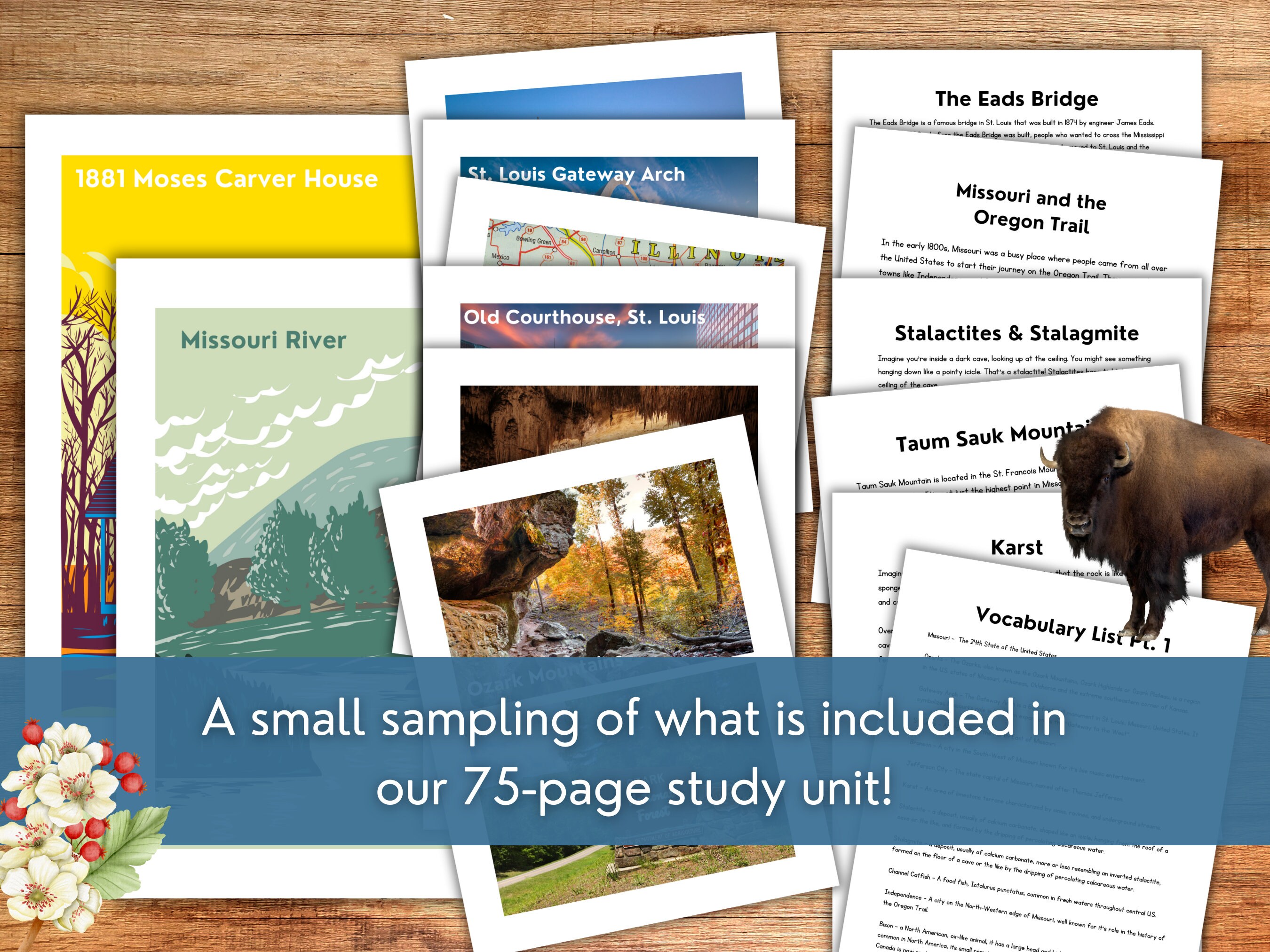 Missouri State Study Unit | Social Studies | Unit Study Guide ...