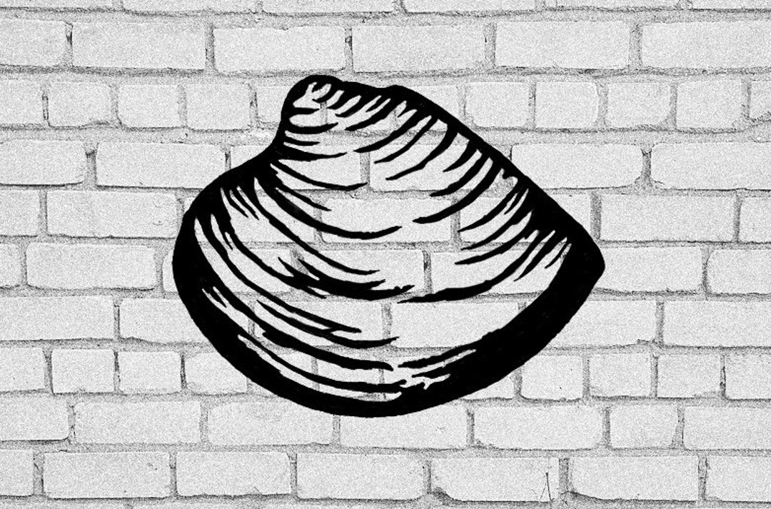 Clam SVG Clam Clip Art Clams Clam Download Shell Clam Shell Clams