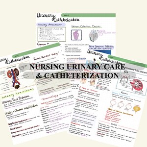 NURSING NOTES- Urinary care & Catheterization