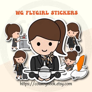 Adesivos WG Flycrew
