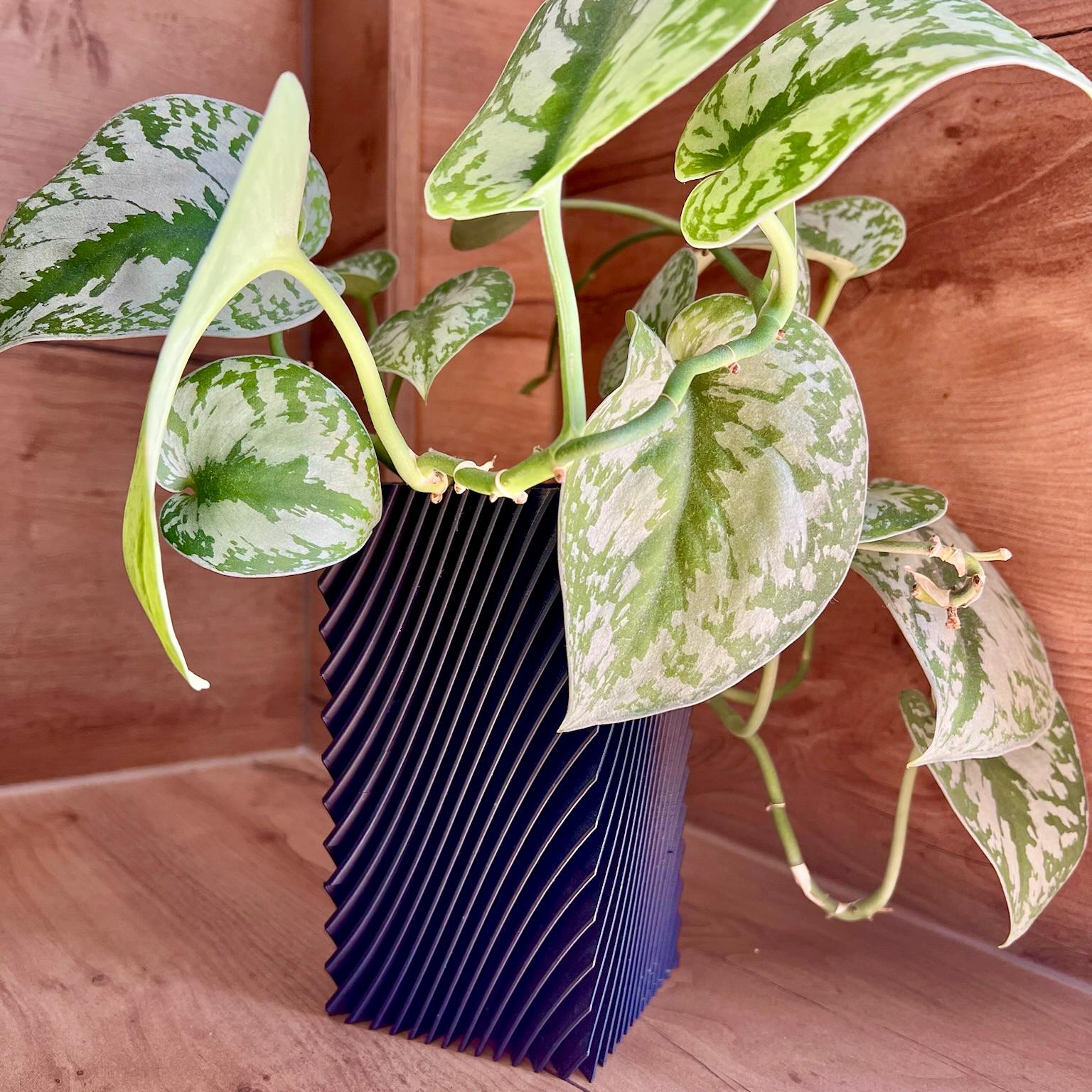 Blumenvasen-Set Trockenpflanzen – 11-teilig, Handgefertigt Aus Keramik, Inkl. Katzenvase & Co. – Ästhetische Deko Für Zuhause, Küche, Büro