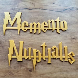 Personalisiertes Namensschild, Türschild, Wandschild, Geschenk, Kindergeburtstag, Hochzeit, Tischkarten, Deko für eine magische Zauberwelt