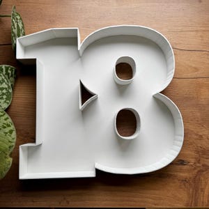 Op de afbeelding: Een grote, witte, driedimensionale letter "18" gemaakt van een dik materiaal. Het nummer staat tegen een houten achtergrond, met een plant zichtbaar in de linkerbovenhoek. Het nummer heeft een hol ontwerp.
