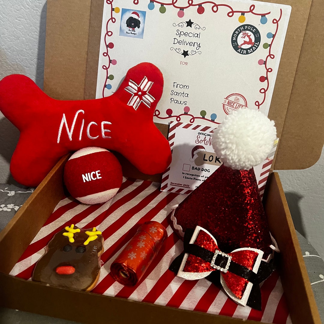 Personalised Luxury Dog Christmas Eve Box Dog Christmas - Etsy
