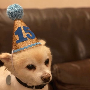 Chapeaux Pawty Chapeaux de fête Chapeaux de fête pour chien Chapeaux de célébration Chapeaux d'anniversaire Chapeau bébé Chapeau de fête pour enfants Chapeau Smash Gâteau image 4