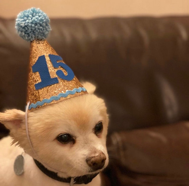 Chapeaux pawty Chapeaux de fête Chapeaux de fête pour chiens Chapeaux de fête Chapeaux d'anniversaire Bonnet bébé Chapeau de fête pour enfants Chapeau Cake Smash image 4