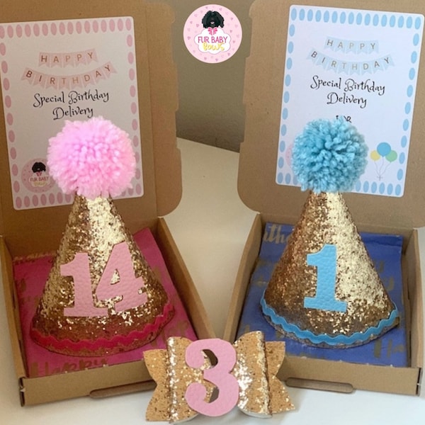 Pawty Hats | Party Hats | Dog Party Hats | Celebration Hats | Birthday Hats | Baby Hat | Children’s Party Hat | Cake Smash Hat