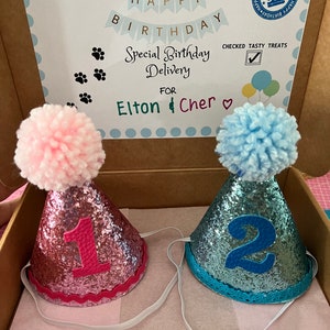 Chapeaux pawty Chapeaux de fête Chapeaux de fête pour chiens Chapeaux de fête Chapeaux d'anniversaire Bonnet bébé Chapeau de fête pour enfants Chapeau Cake Smash image 2