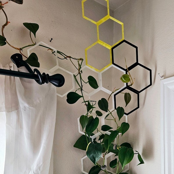 Modular Trellis Honeycomb multi hexagon with double stake base