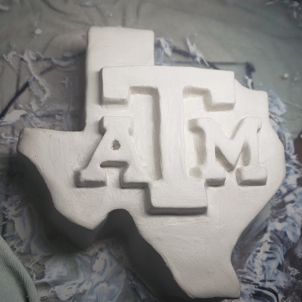 4x4x1" Texas A and M plastic mold