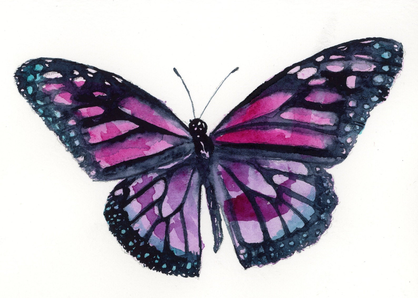 Fine Art Print Pink Monarch Butterfly Etsy