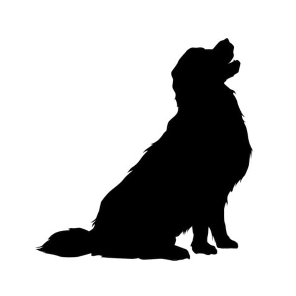 Téléchargement instantané de Silhouette de chien Golden Retriever pour Cricut camée Silhouette SVG fichier de coupe JPEG imprimable, DxF Cad, fichier PNG Transparent