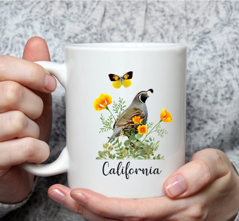 California State Bird Flower Butterfly PNG Transparent - Etsy