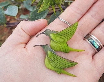 Graines de fleurs d'oiseau (pour toute l'année) expédition rapide, cadeau idéal, facile à cultiver, succès garanti, graines de haute qualité, fleurs de colibri