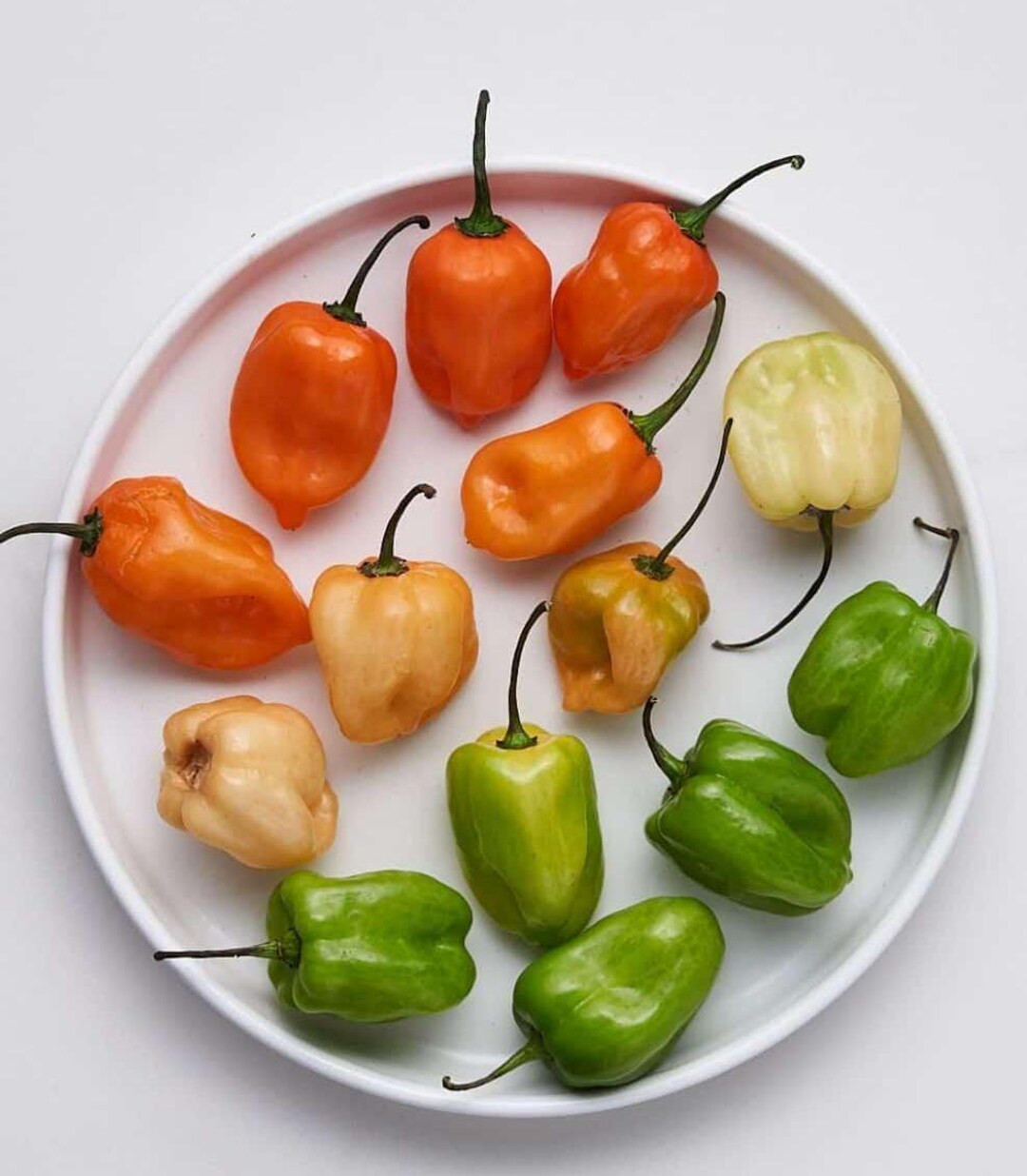 Prezzo: €1.85 - Semi di peperoncino Habanero rosso, giallo, arancione