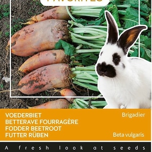 Fodder Beetroot Seeds: Grow Organic Beet Pet Food for Rabbits and Small Livestock, Non GMO