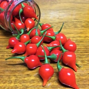 Puede incluir: Un tarro de vidrio lleno de chiles rojos brillantes se derrama sobre una superficie de madera. Los chiles son pequeños y puntiagudos, con tallos verdes.