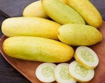 Yellow Cucumber seeds, amazing colour, easy to grow, best gift for him and her, gardening, home decor, mothers day fathers day