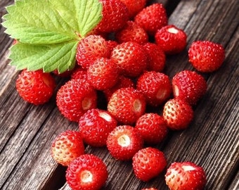 Puede incluir: Primer plano de un grupo de fresas silvestres rojas brillantes y una hoja verde, dispuestas sobre una superficie de madera envejecida. Las pequeñas bayas redondas tienen una superficie texturizada. La imagen destaca los detalles de la fruta.