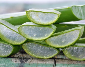 Aloe Vera Seeds: Grow Your Own Organic Aloe for Beauty & Skin Care, After Sun Burn Treatment