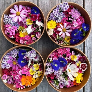 Könnte beinhalten: Vier Schalen gefüllt mit bunten Blumenarrangements. Jede Schale enthält eine Vielzahl von Blumen in den Farben Rosa, Lila, Blau, Gelb und Weiß. Die Blumen sind in einem zufälligen Muster angeordnet, was ein optisch ansprechendes Display ergibt.