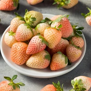 May include: A white bowl filled with pink and white strawberries. The strawberries are arranged in a cluster, with some overlapping. The bowl is on a gray surface.