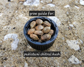 Grow Guide for Pakistani Chitral Kush seeds
