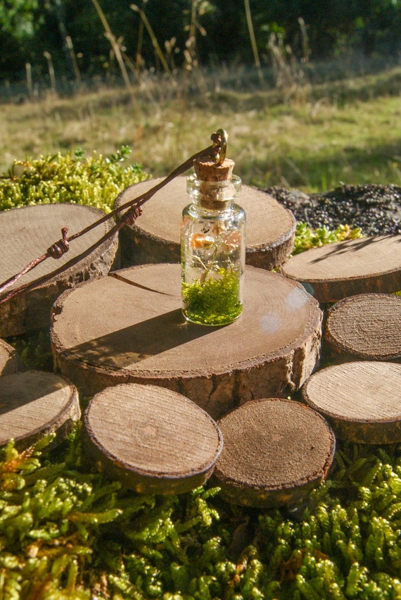 Glass Bottle Necklace With Natural Flowers Inside Transparent