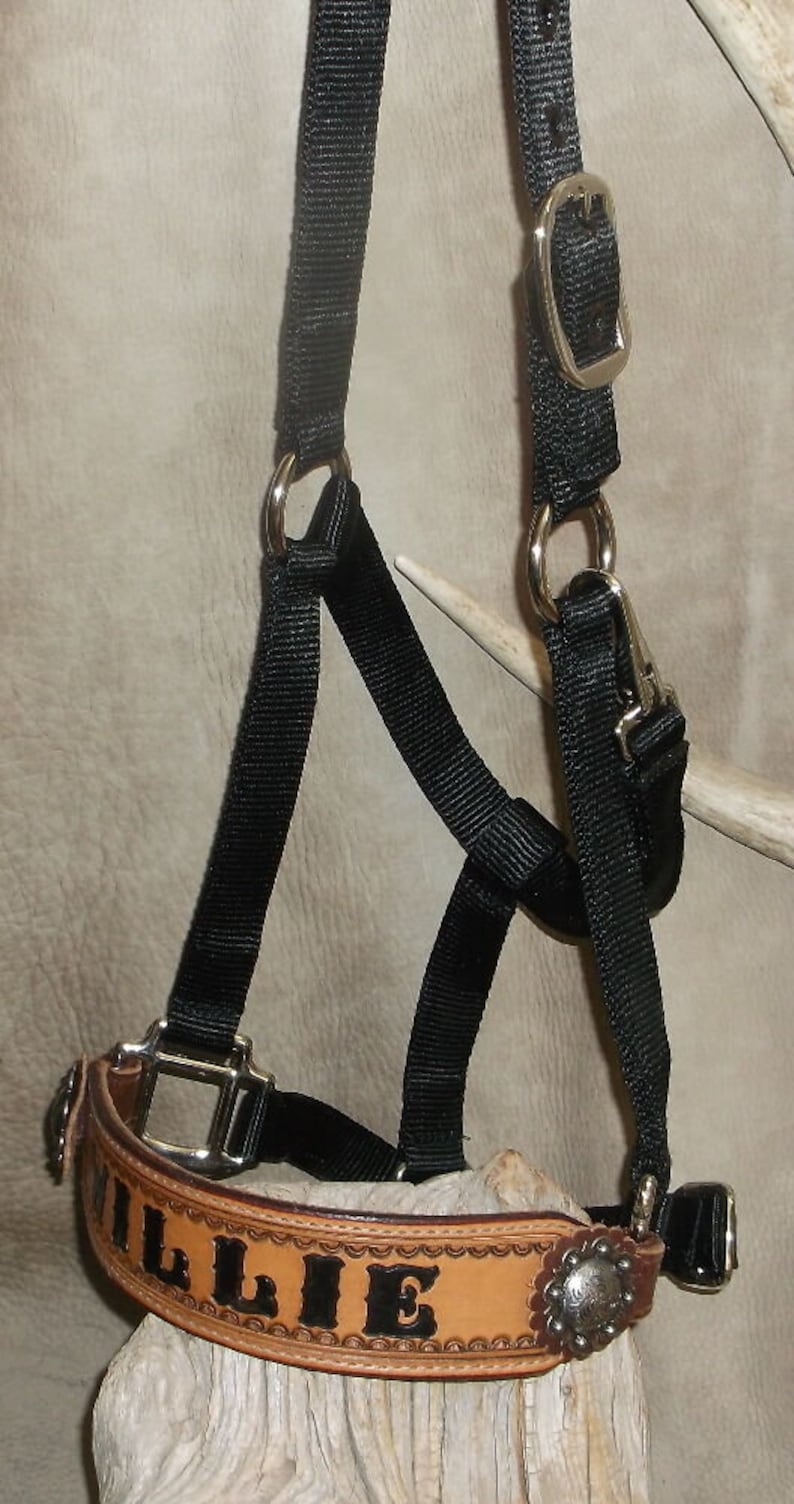 Custom Personalized Horse Halter. Your Horses Name or Simple Etsy