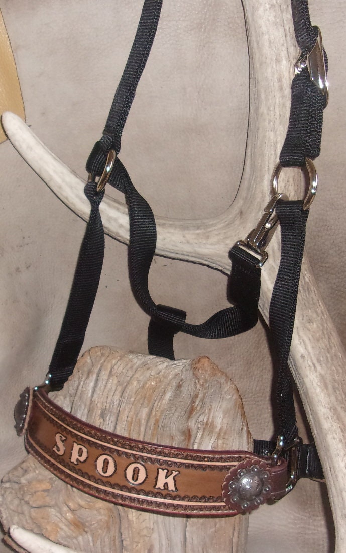 Custom Personalized Horse Halter. Your Horses Name Tan / Etsy