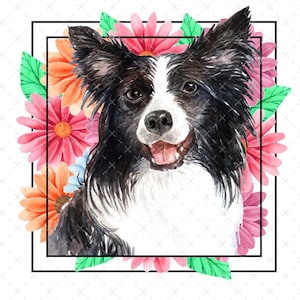 Border Collie Floral DTF Transfer: Ready To Press
