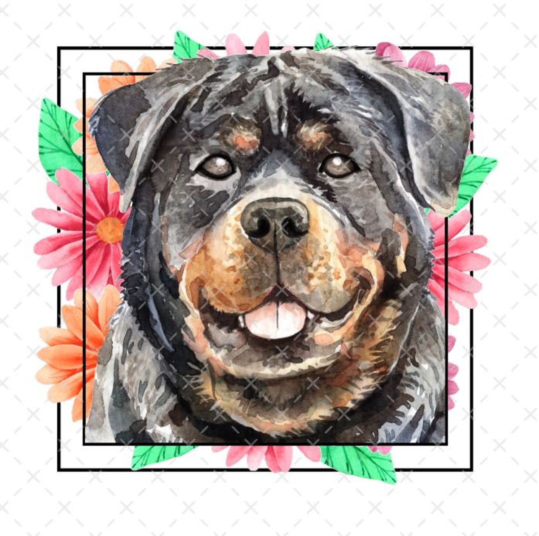 Rottweiler Ready to Press DTF Transfer, DTF Transfers, Ready to Press ...