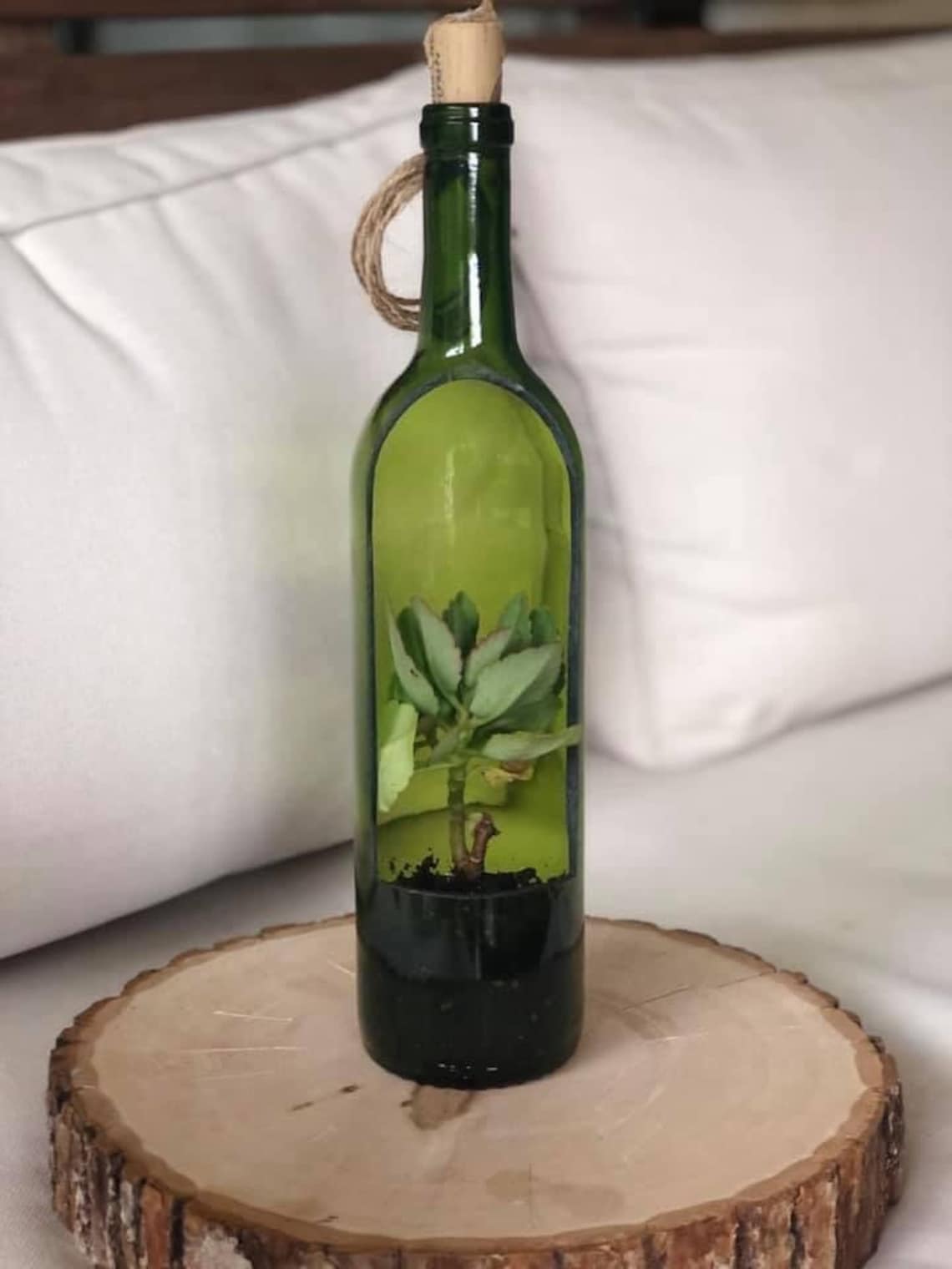 Hanging Wine Bottle Planter With Succulent Etsy