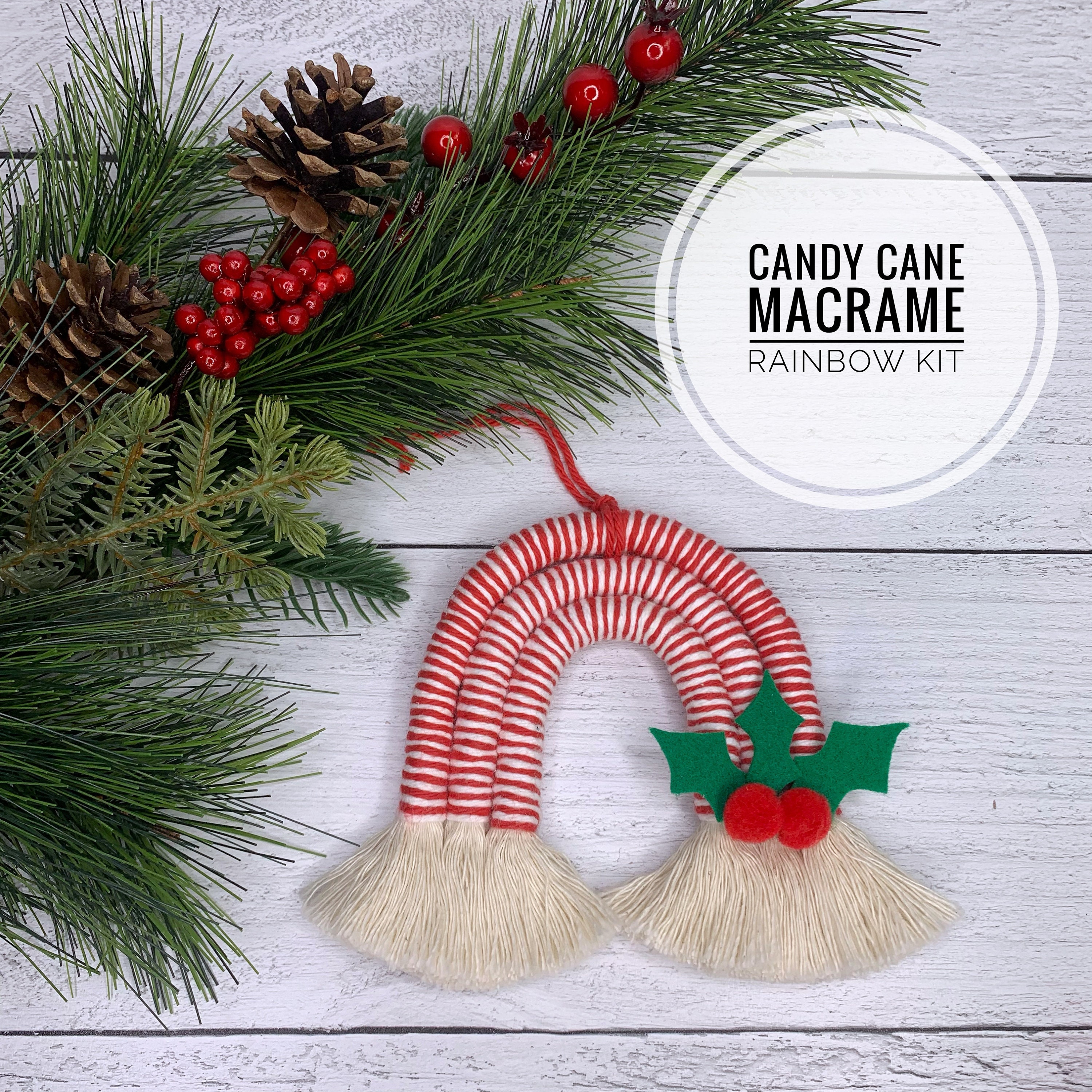 Macrame DIY Christmas Ornaments Rainbow Craft Kit, Adult Craft Kit, Rope  and Yarn, Christmas, Hanukkah, Kwanzaa, Teen Craft Kit, Gift