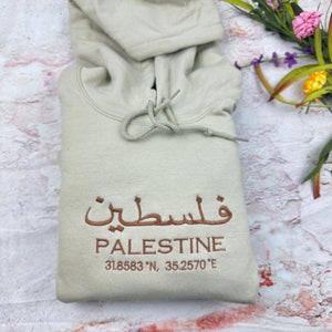 Palestine Coordinates Embroidered Hoodie