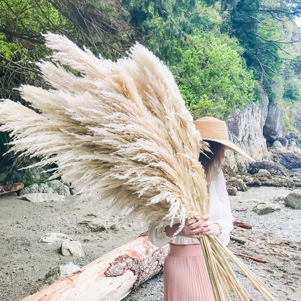 Fluffy Large Pampas Grass, Boho, Dried Pampas Grass, Dried Flowers, Dried Grass Decor, Home Decor, Wedding Decor