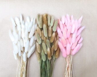 Dried Bunny Tail Grass, Lagurus Ovatus, Dried Floral Decor, DIY Flowers, Natural Home Decor, Floral arrangement, Vase Toppers