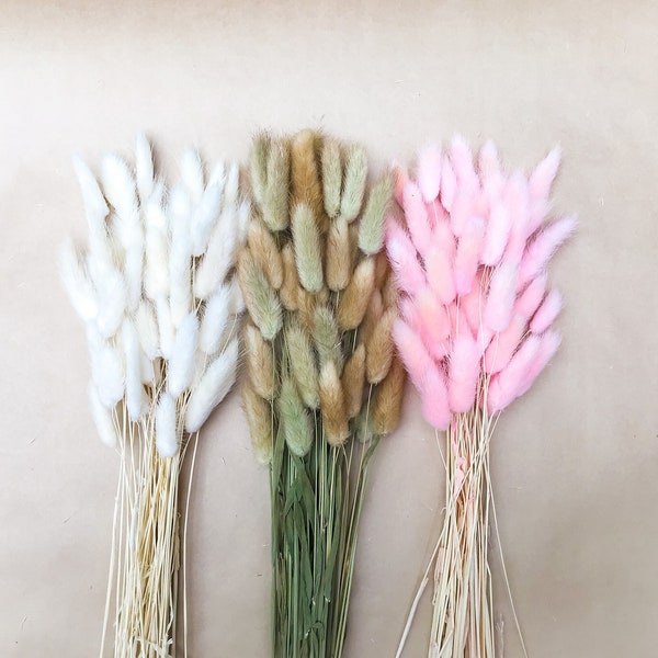 Dried Bunny Tail Grass, Lagurus Ovatus, Dried Floral Decor, DIY Flowers, Natural Home Decor, Floral arrangement, Vase Toppers