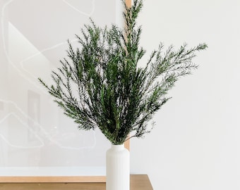 Preserved Melaleuca Bracteata, Dried Flowers, DIY Flowers, Flowers for home, Natural Home Accents