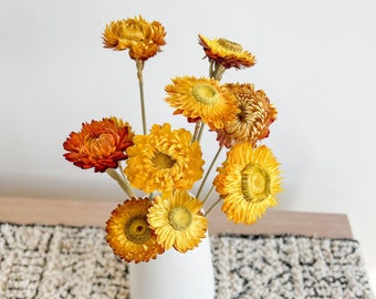 Yellow Strawflowers, Dried Flowers,  DIY Flowers, Wedding Florals, Home Decor, Floral Arrangements