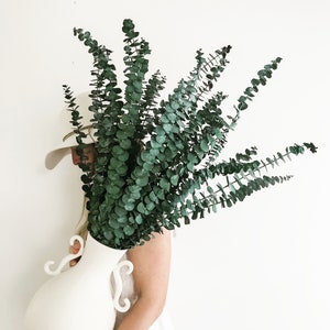 Preserved Eucalyptus, Dried Flowers, Natural Floral Arrangement, Bath and Home Decor, Dried Eucalyptus, Green Eucalyptus, Aroma Therapy,