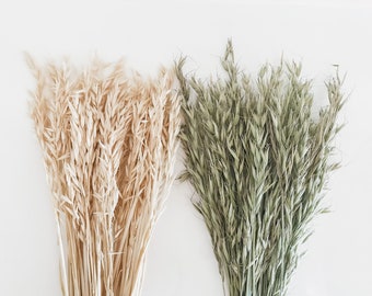 Dried Oat Grass, Naturally Preserved Wheat, Dried Florals, DIY flowers, Wedding Flowers, Natural Home Decor, Fall Florals, Dried Grass