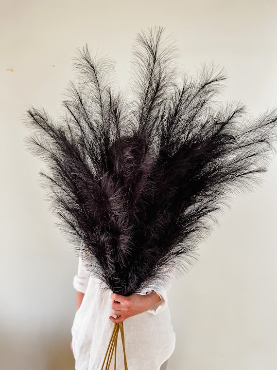 Artificial Black Pampas Grass, Home Decor, No Shed Pampas Grass, Boho Home  Decoration, Black Pampas 